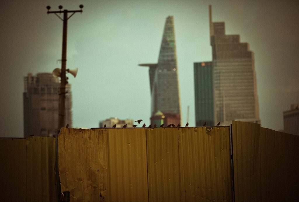 74087b79635911.5df24961a64d4-1